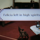 Illustration for article titled U.S. Version of iFire Emblem Fates/i Ditches The Petting Mini-Game, Keeps The Talking